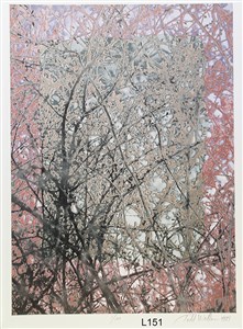 Image description is not available for 2024.037